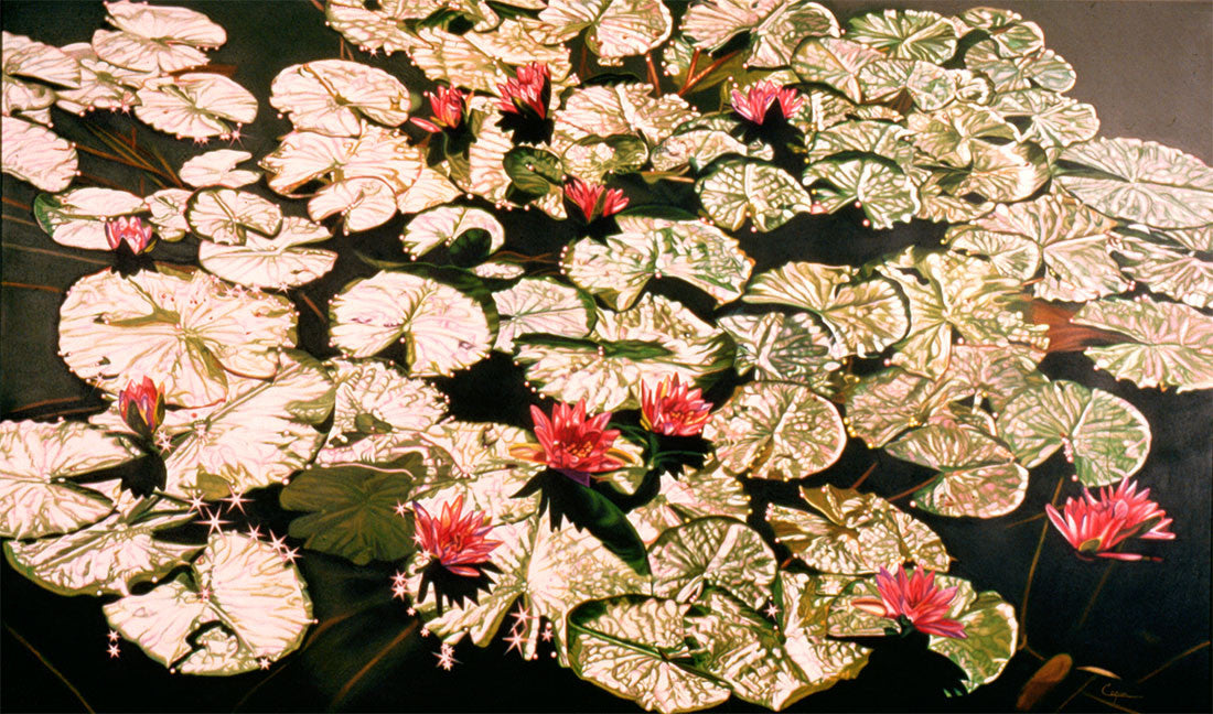 Water Lilies, Afternoon Reflections